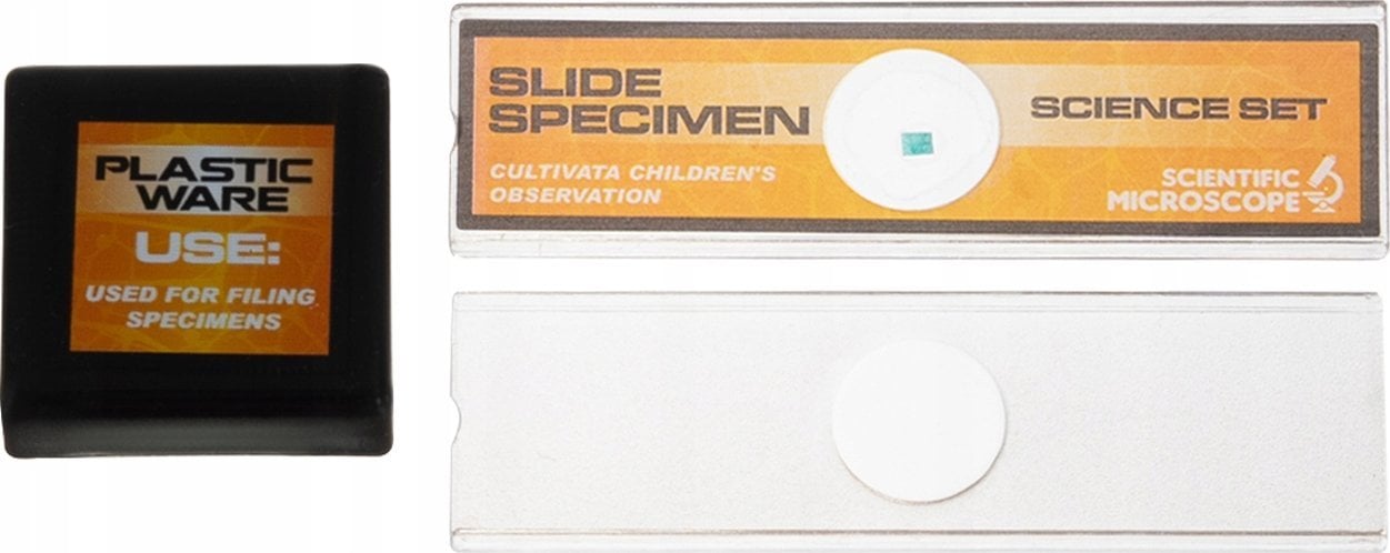 MG Mikroskop Brainstorm