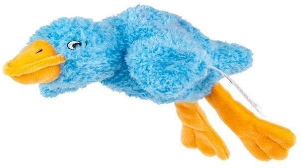 Sensoryczna Gęś niebieska