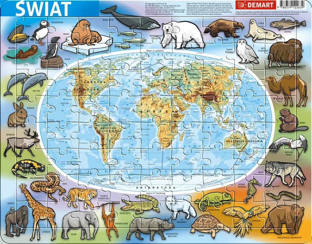 Demart Puzzle ramkowe - Świat fizyczna