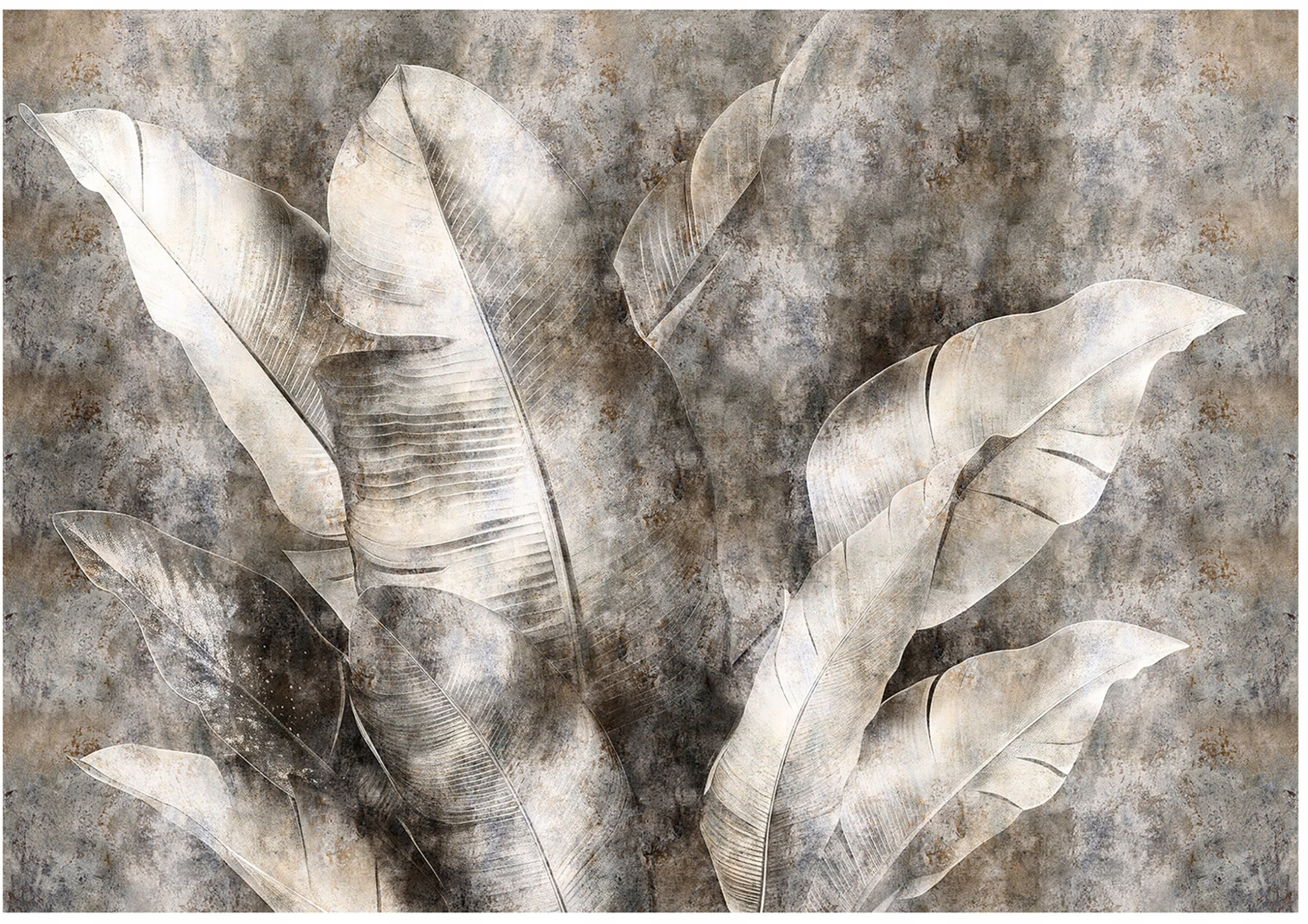 Fototapeta Liście Bananowca Szary Sypialnia Salon Tapeta Flizelina 400X280