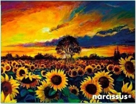 Teka Teczka kopertowa PP A6 Słoneczniki