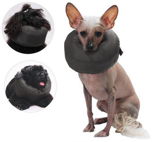 Grande Finale Kołnierz pooperacyjny rozmiar 5