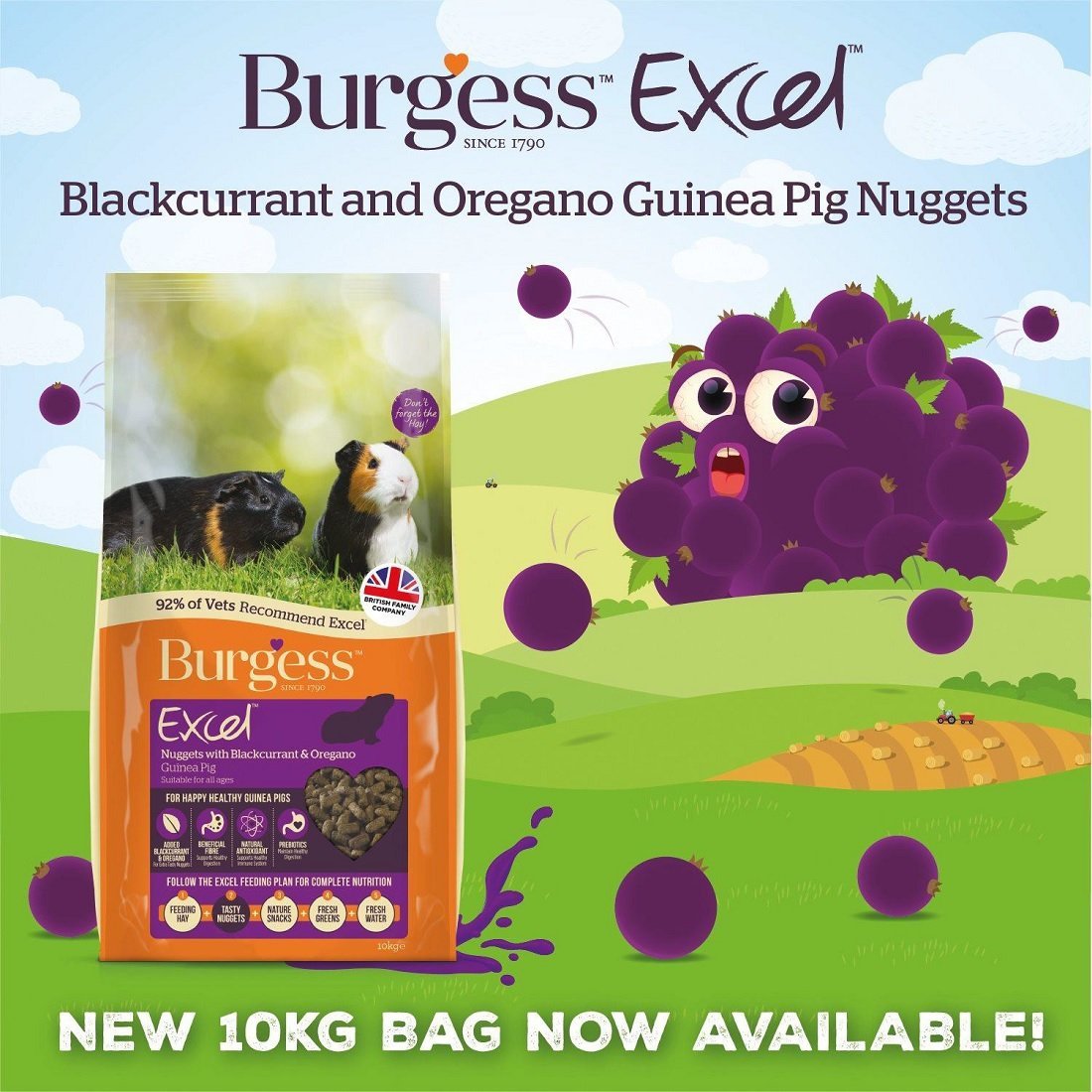 Burgess Burgess - Guinea Pig Nuggets with Blackcurrant and Oregano - 10 kg (40018)