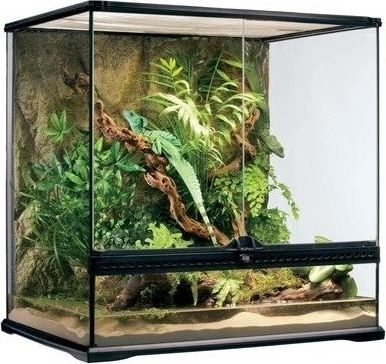 Exo Terra EXOTERRA Terrarium szklane MEDIUM 60x45x60cm
