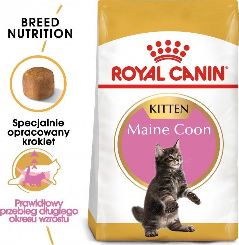 Royal Canin Maine Coon Kitten 2kg + gratis