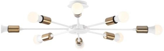 Opviq lubinis šviestuvas Ray