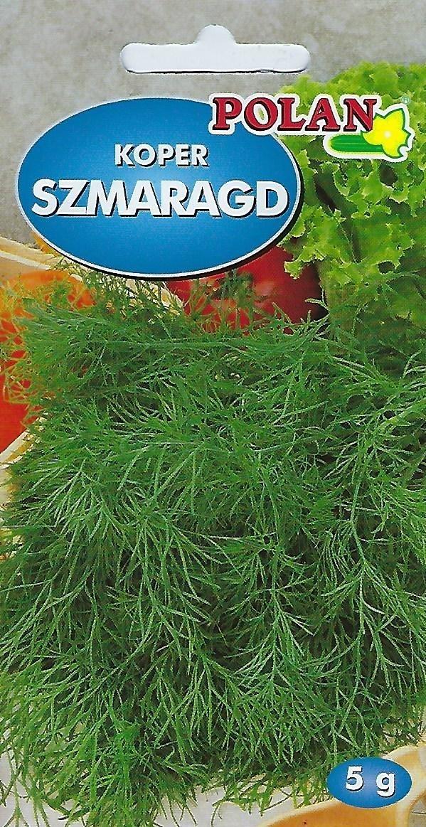 Polan Koper Ogrodowy Szmaragd Nasiona 5g Polan