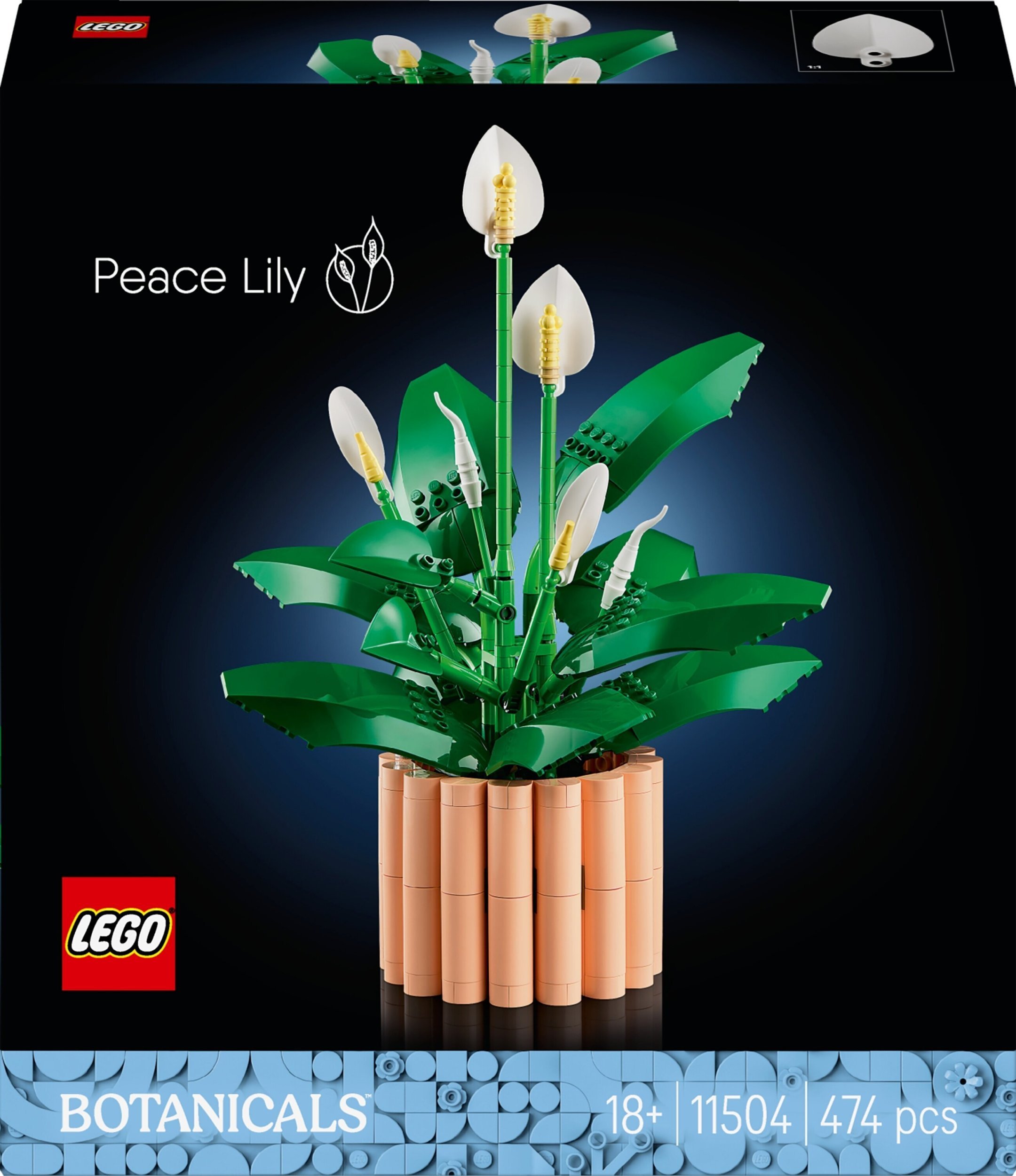 LEGO Botanicals Skrzydłokwiat (11504)