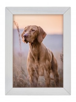 Ramka Woodflow FrameFlip A4 - drewno bielone