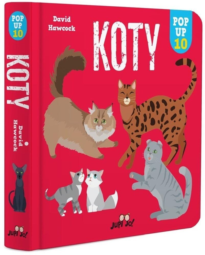 Koty. POP-UP 10