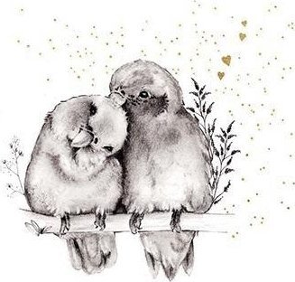 Karnet złocony kwadrat CL3818_BL Ptaszki