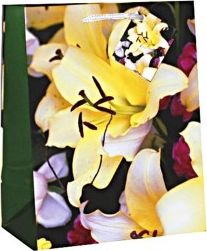 Canpol TorbaTR-40 MIX 33x45,7x10,2 cm