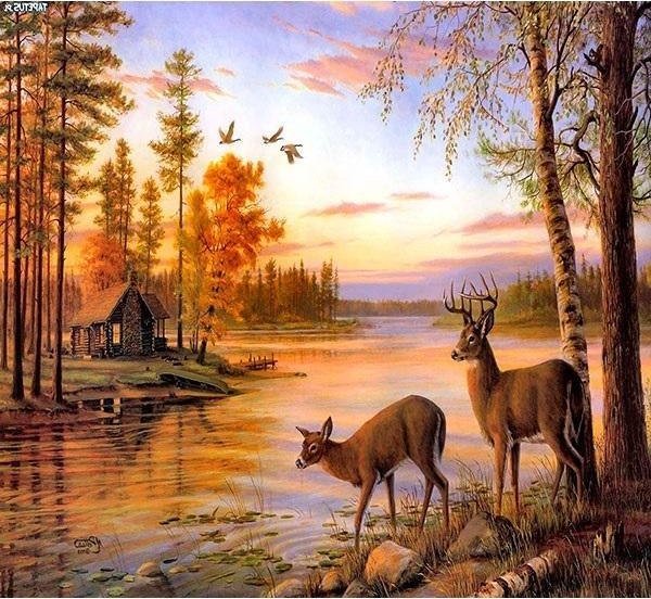 Norimpex Mozaika diamentowa 5D - Jeleń 40x30cm