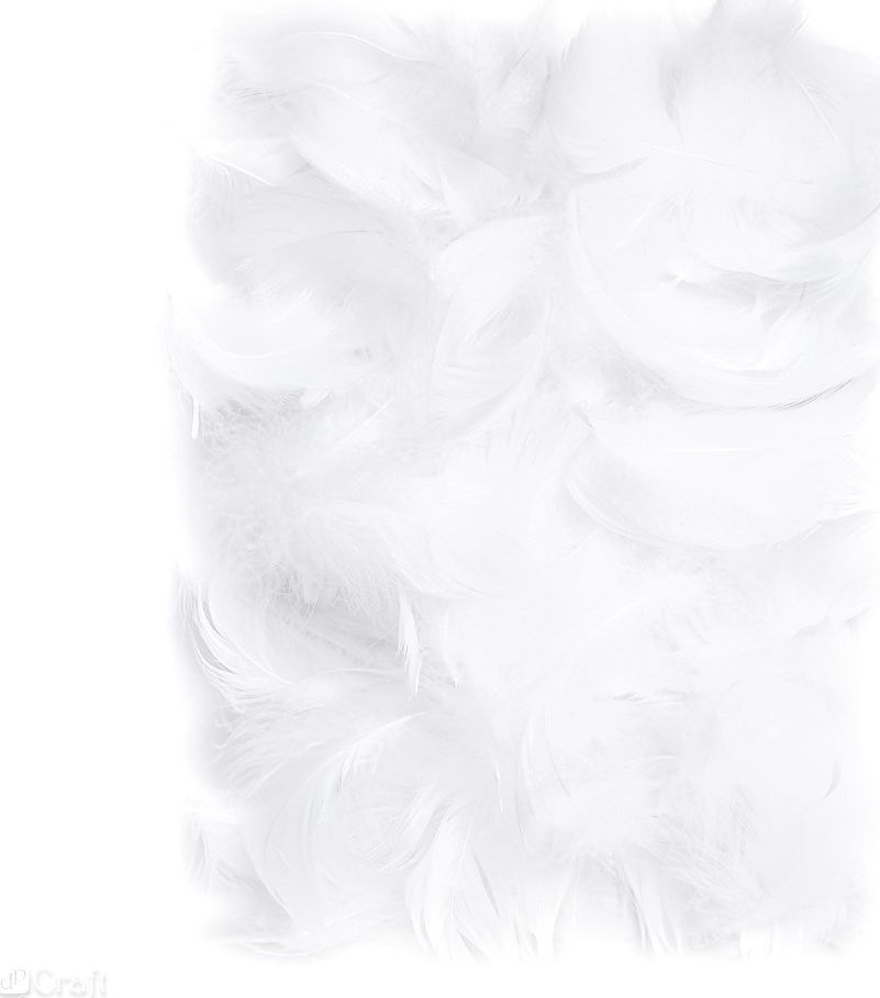 Dalprint Piórka DPCRAFT 5-12cm 10g White Dalprint