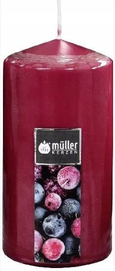 Muller kvapioji žvakė Wild Berries, 1 vnt.