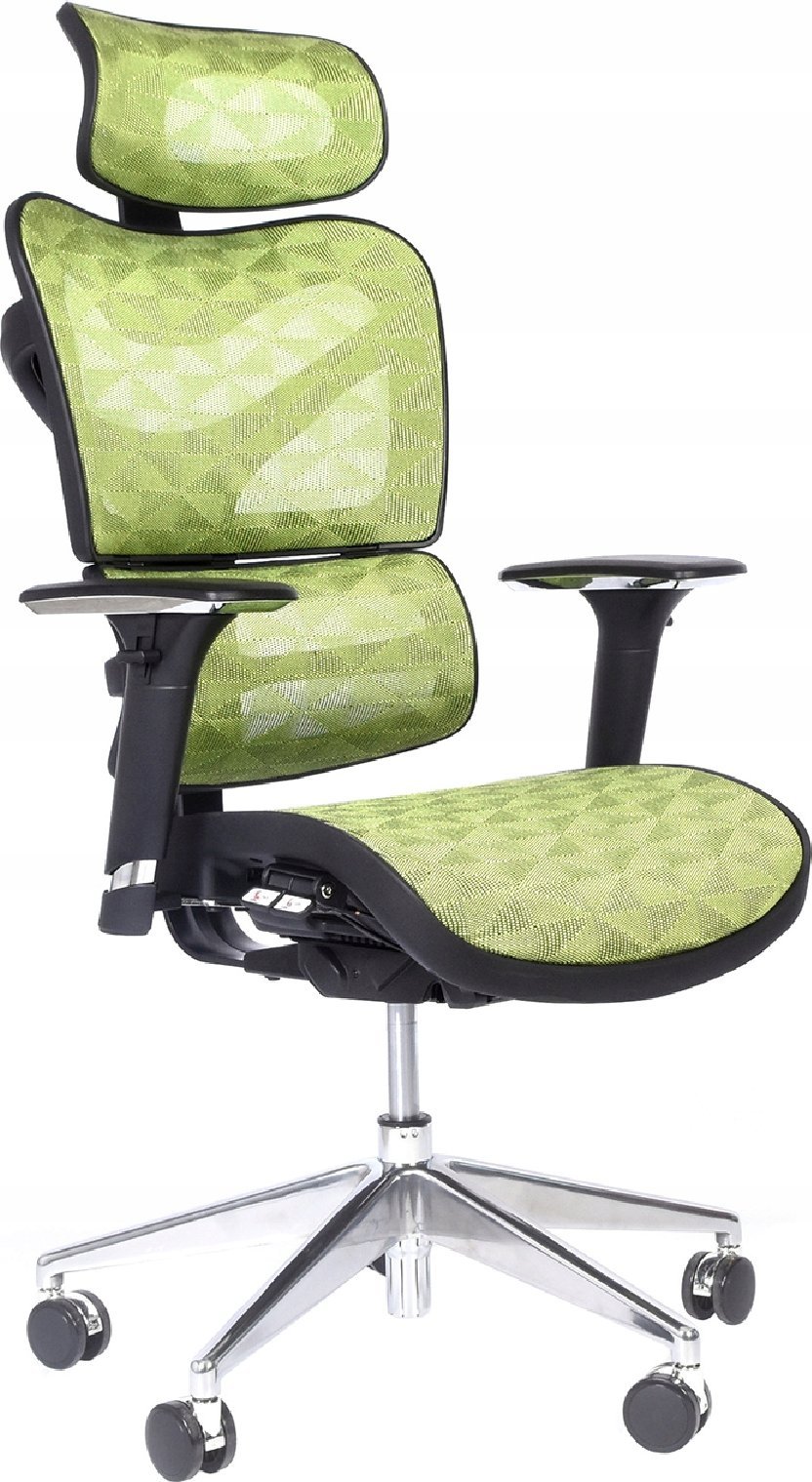 Krzesło biurowe Bemondi Ergonomiczny fotel biurowy ERGO 600 zielony