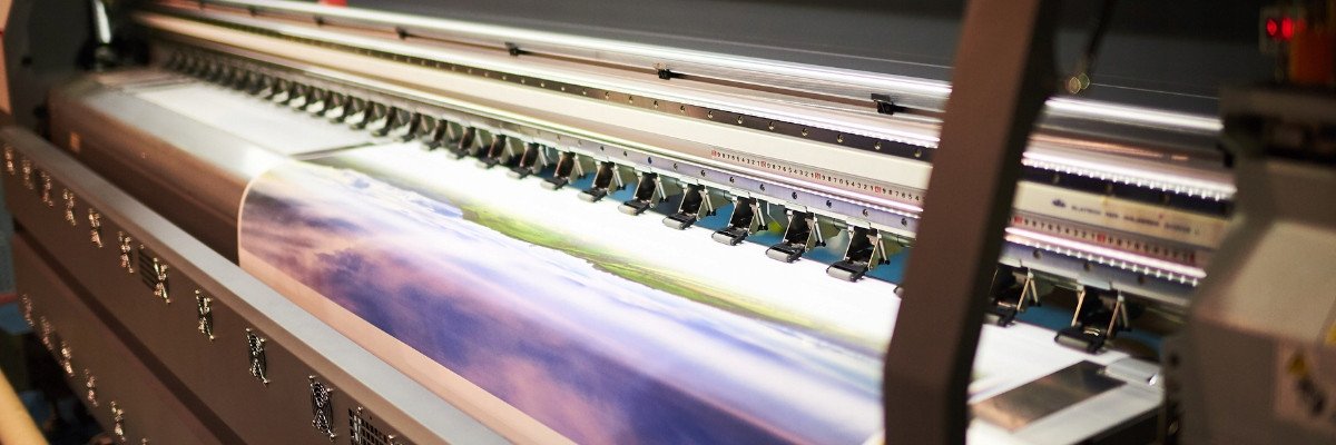 Fototapeta Winylowa Trawa Pampasowa Natura Do Sypialni Salonu 416x254