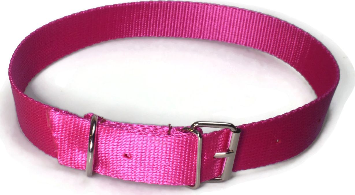 Alizoo Obroża dla dużego psa 30mm/48-67cm z metalową klamerką - ALIZOO