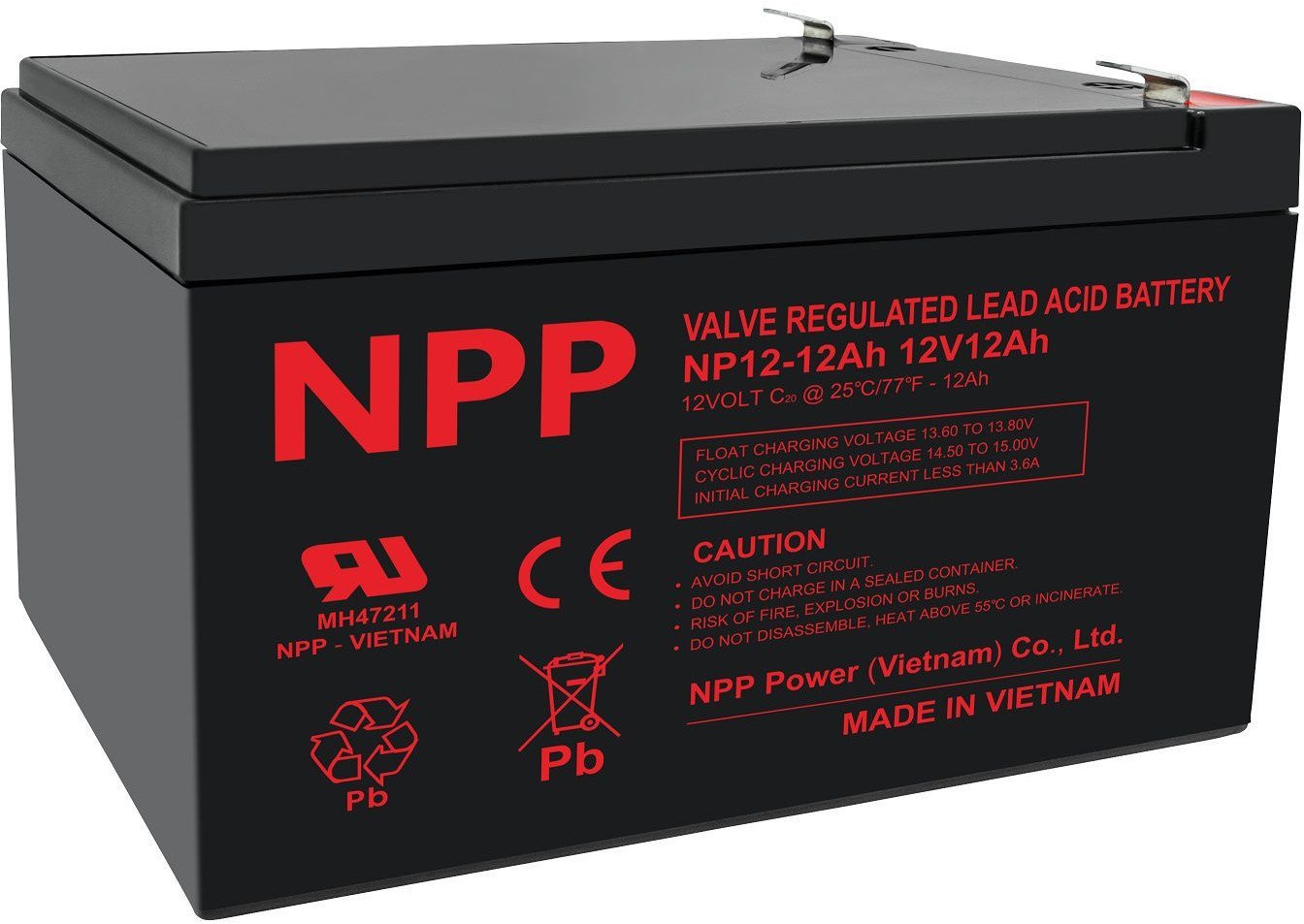 Battery 12 V 12 Ah T2(F2) Pb AGM NPP