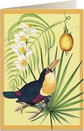 Tassotti Karnet B6 + koperta 6053 Tukan i owoc