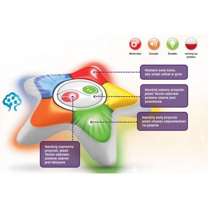 Dumel Prawda czy fałsz junior (61195)