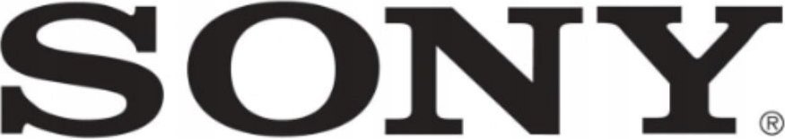 Sony Charging Case - Black (AEP,UK)