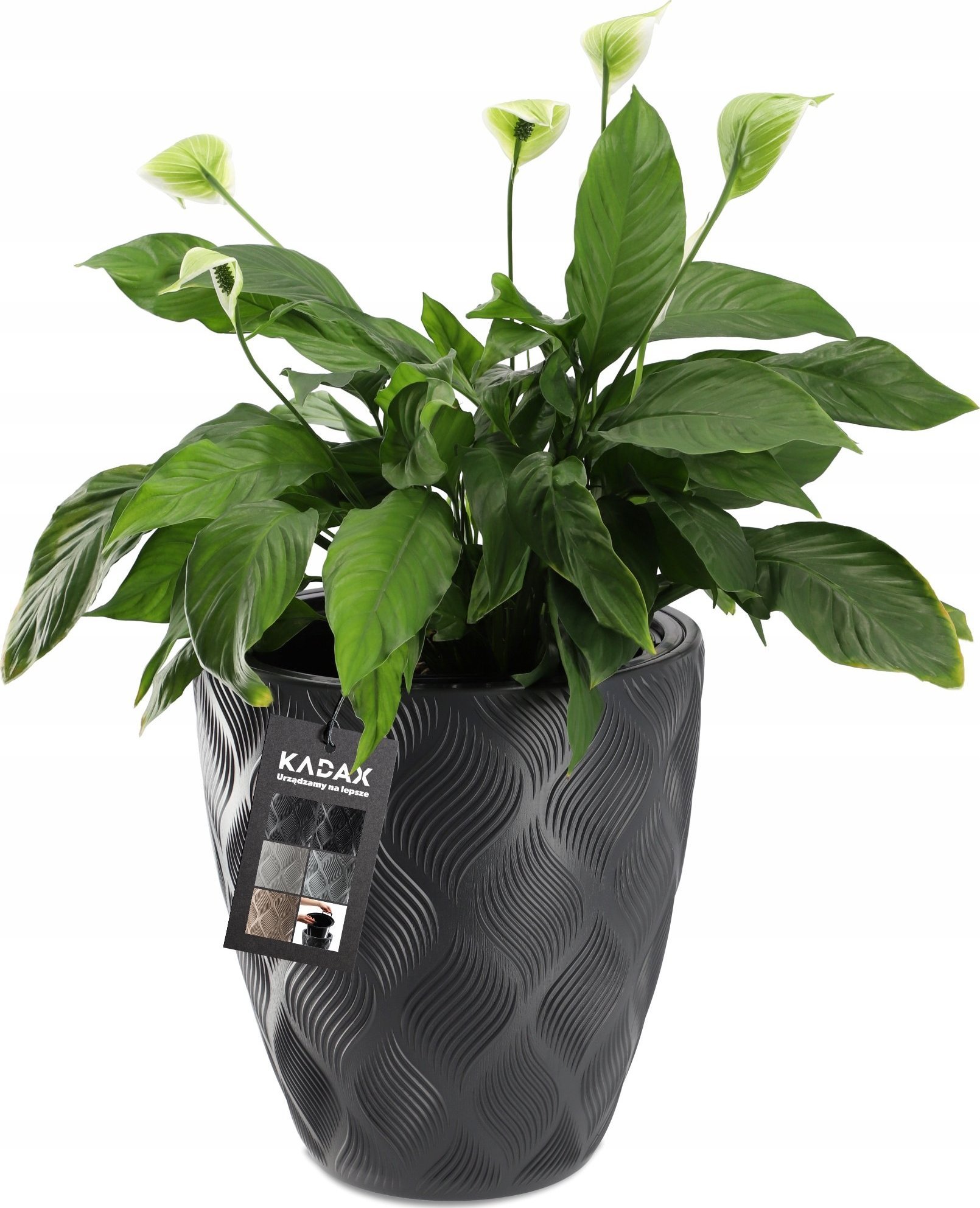 Kadax Doniczka Donica Z Wkładem Ogrodowa Antracyt 42cm