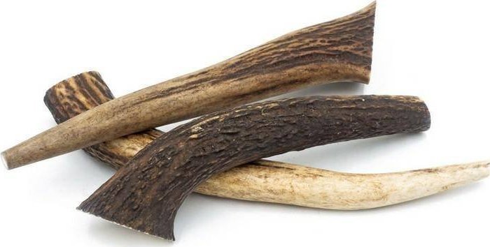 4DOGS 4Dogs Jeleniówki Gryzak Dla Psa Z Poroża XL 18cm