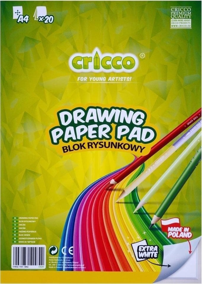 Teka Blok rysunkowy A4/20K biały CRICCO