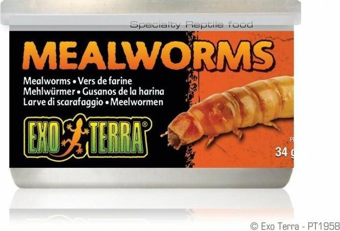 Hagen HAGEN-EXO TERRA Puszka Mealworms 34g.