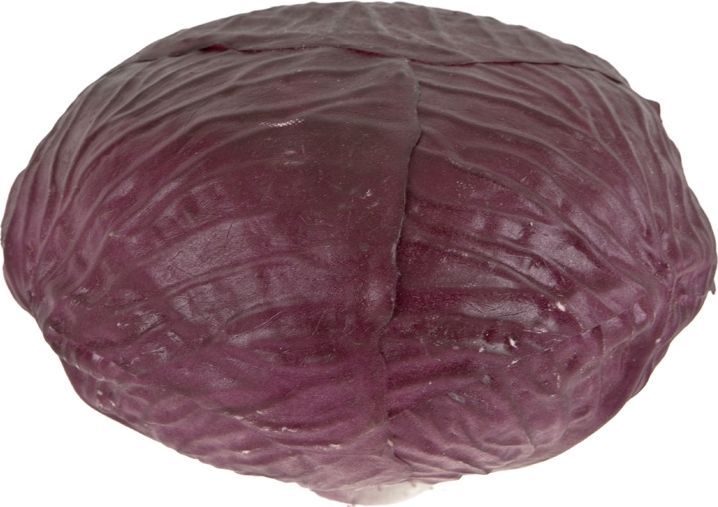 Witek Home Sztuczne warzywo - Kapusta