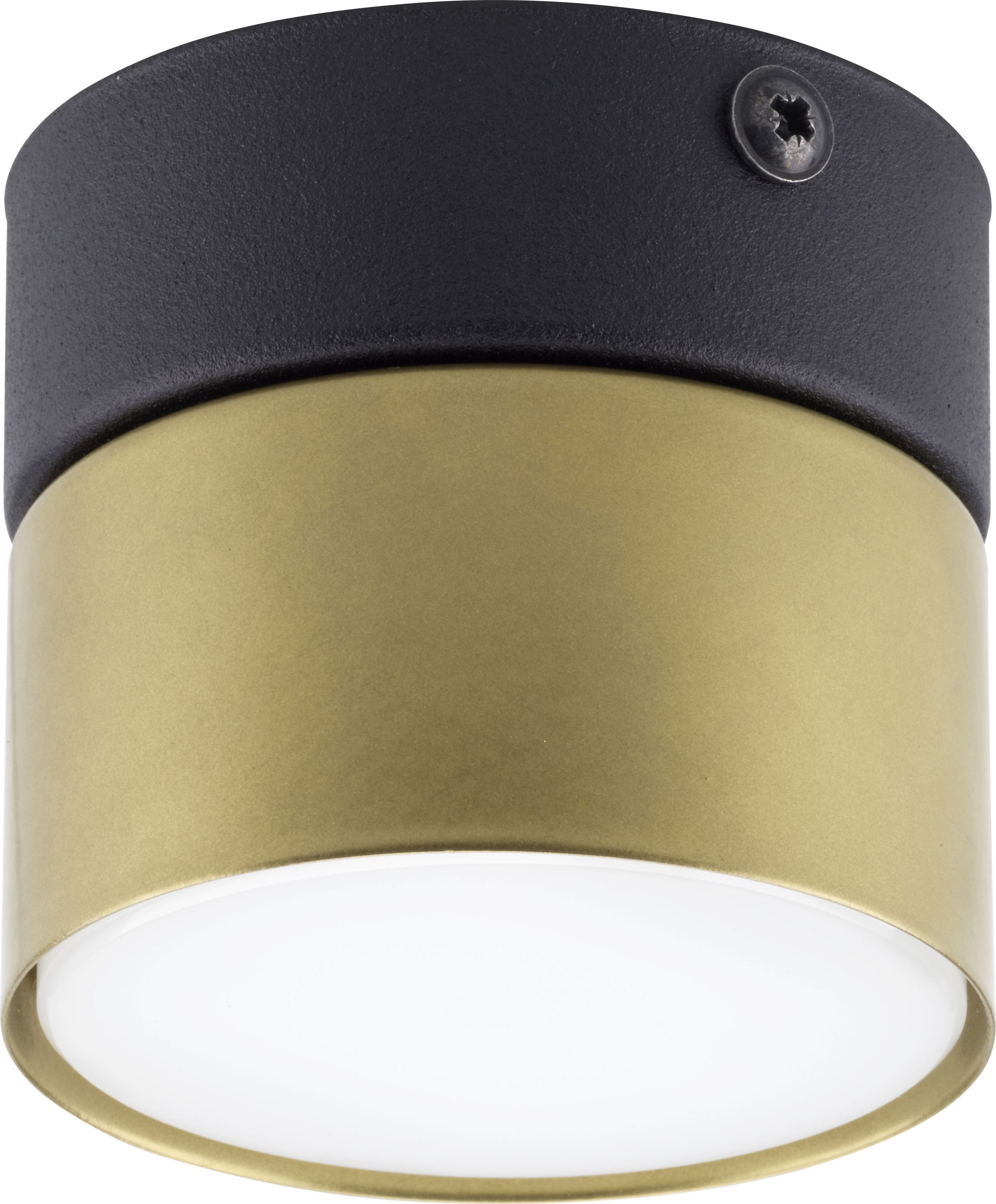 Lampa sufitowa TK Lighting Do biura lampa natynkowa walec TK Lighting Space 6140