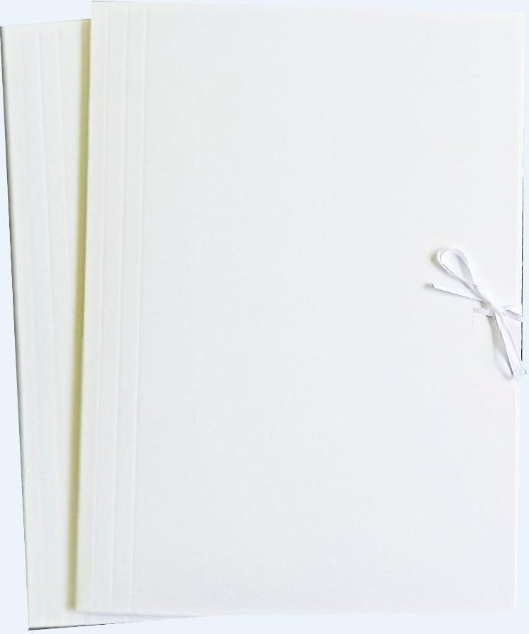 Wektor Teczka A4 biała wiązana (10szt)