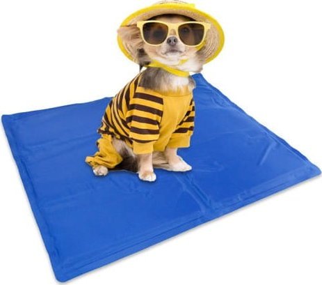 ZOLTA Mata chłodząca dla zwierzaków 40x50cm Legowisko
