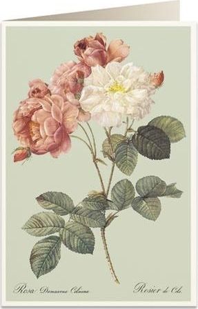 Tassotti Karnet B6 + koperta 6066 Kolorowe róże