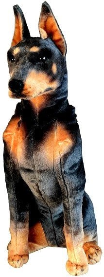 Pies Doberman 65cm 33550