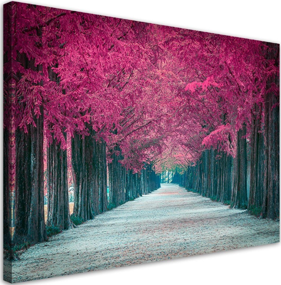 Feeby Obraz na płótnie, Aleja różowych drzew - 120x80