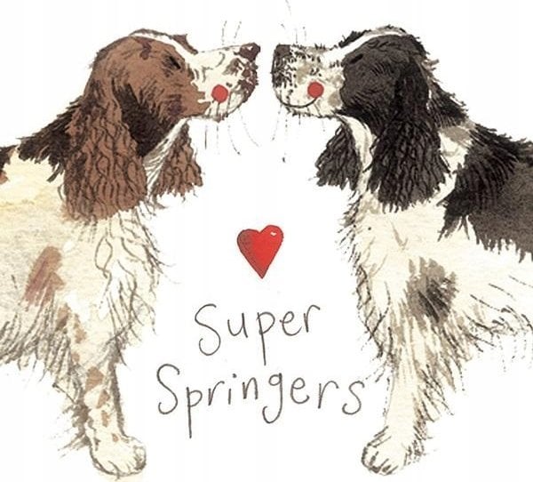 Teka Magnes FM02 Springer spaniel