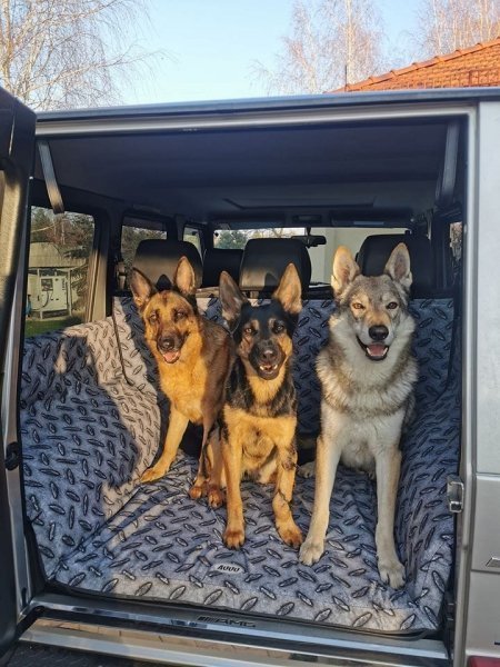 AUUU Zabudowa bagażnika samochodu REFLONA (również w innych wzorach graficznych)