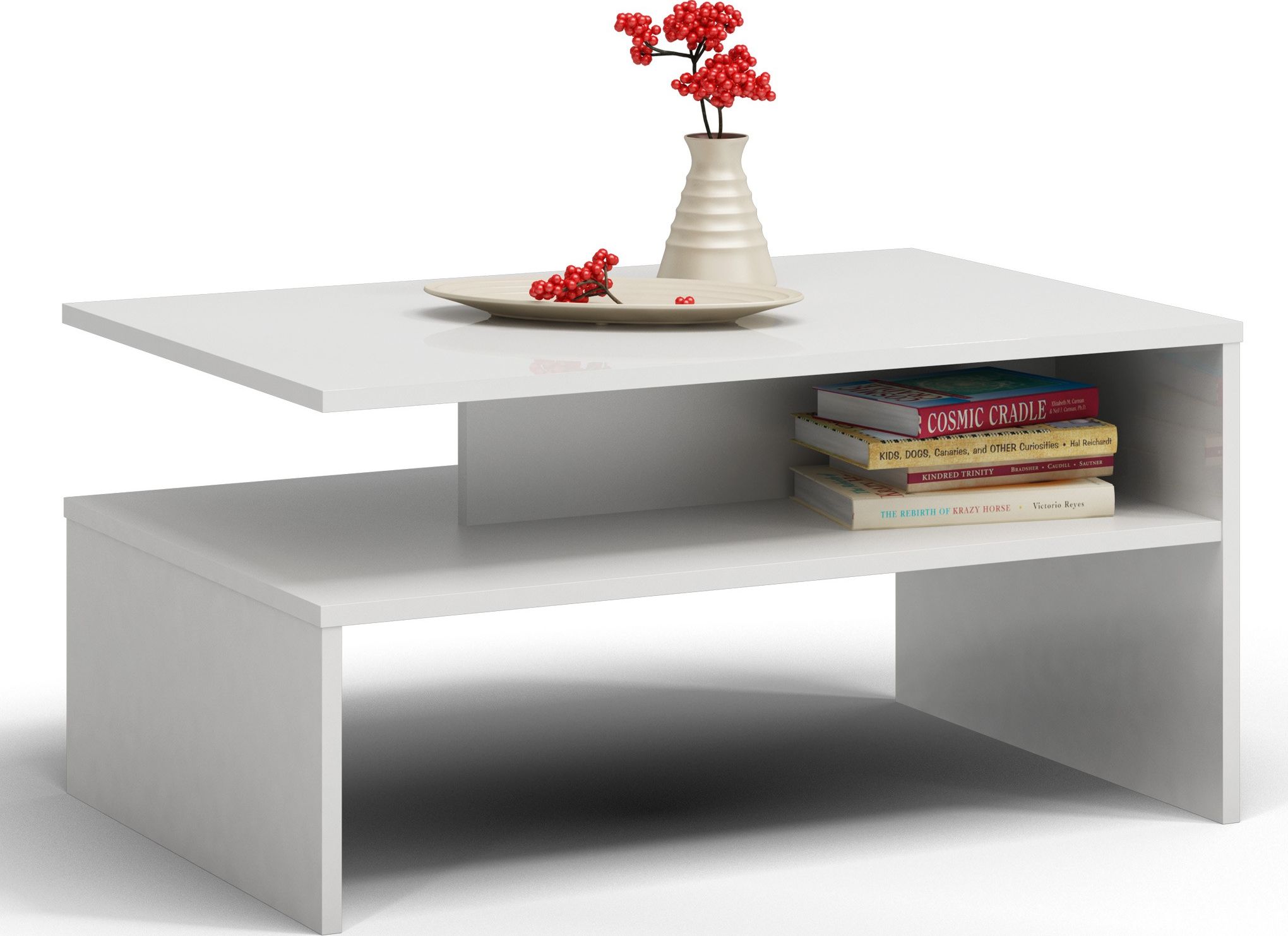 Topeshop STOLIK KAWOWY ŁAWA BOSTON SALON POKÓJ BIEL MAT (ŁAWA BOSTON BIEL V2)