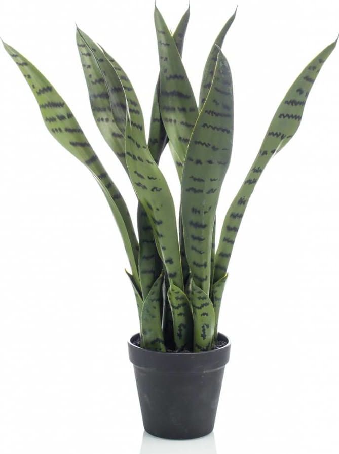 Emerald Emerald Sztuczna sansewieria w doniczce, 55 cm