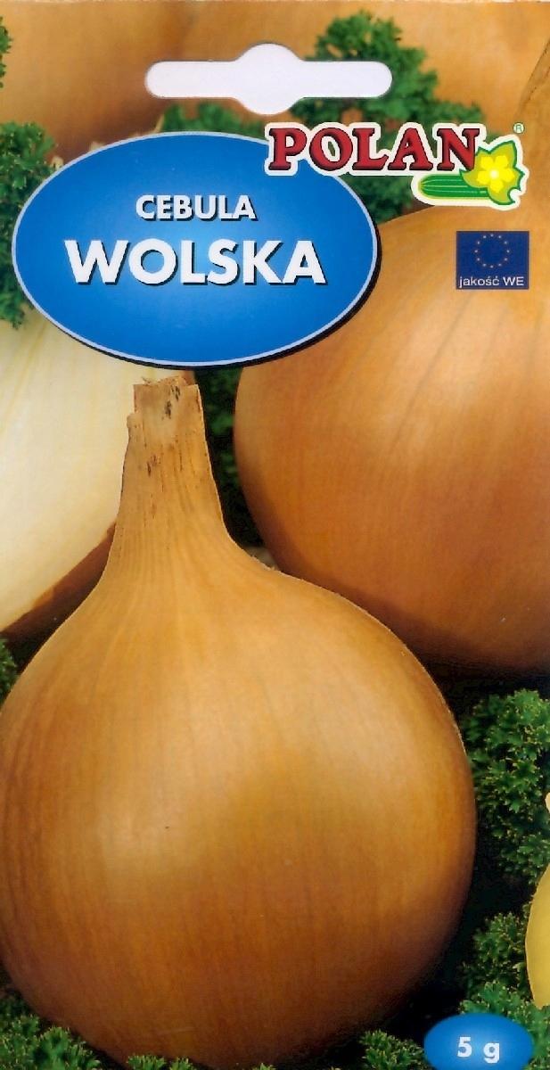 Polan Cebula Wolska Nasiona 5g Polan