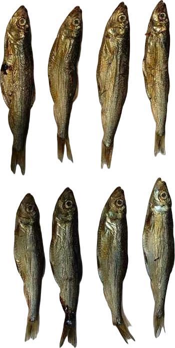 Arami ARAMI - 200g SZPROT BAŁTYCKI SUSZONY