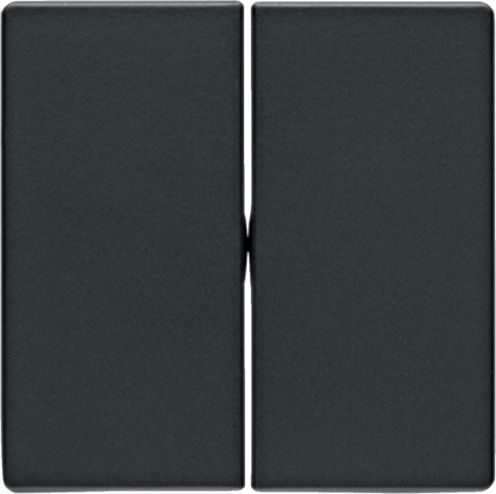 Berker Klawisze podwójne Antracyt (16236086)