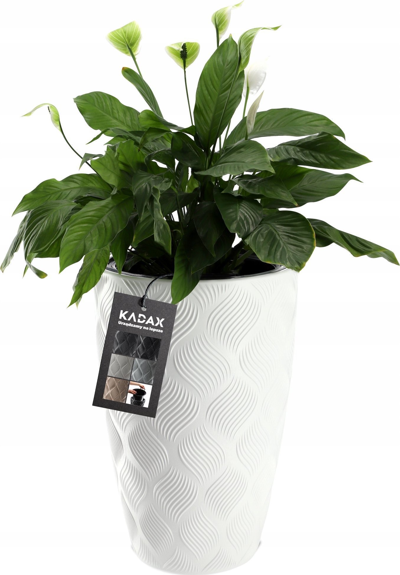 Kadax Donica Wysoka Doniczka Z Wkładem Ogrodowa 48,5cm