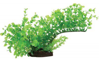 Zolux Napowietrzacz Aeroplant 1/2 łuku