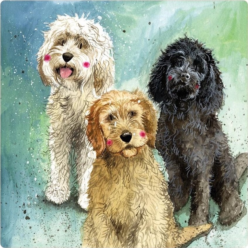 Teka Magnes FM229 Psy Cockapoo