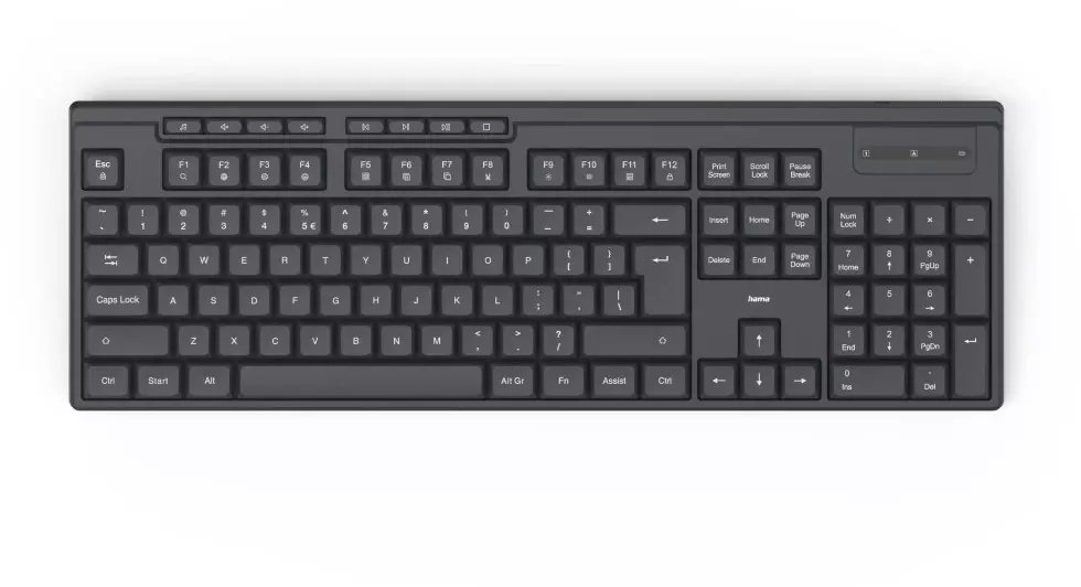 Klawiatura Hama WK-200 (U8173055)