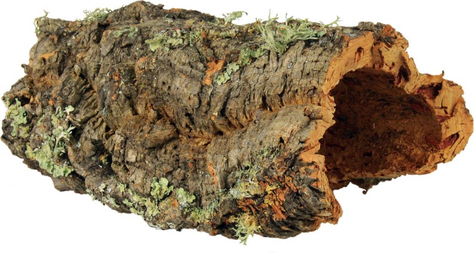 Trixie Ścianka korkowa 8 szt. 55 cm