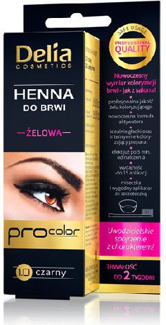 Delia Henna do brwi żelowa 1.0 czarna